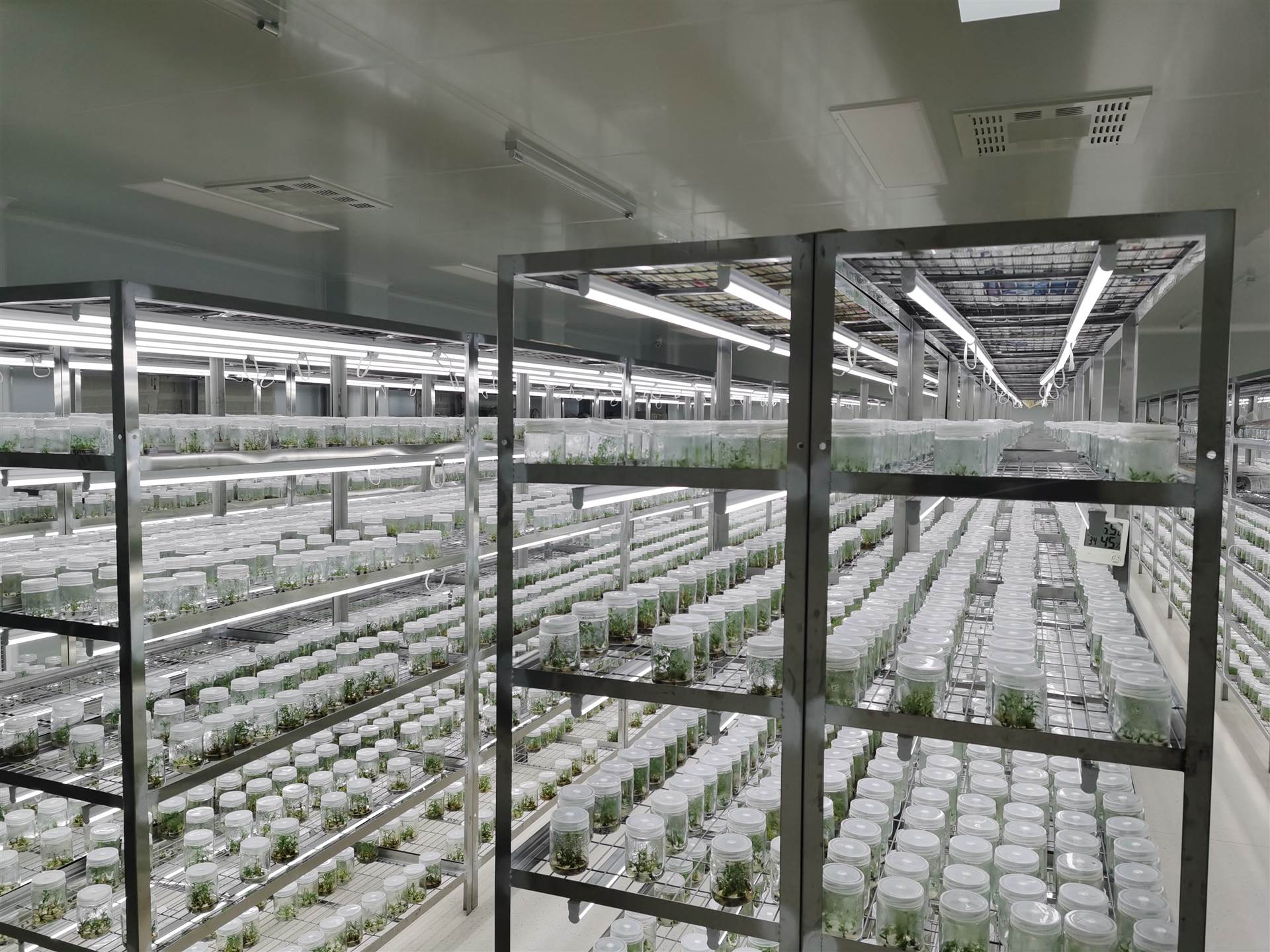 組培室凈化工程該如何設計?設計等級是什么?